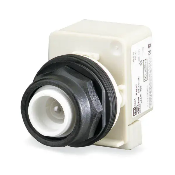 SCHNEIDER ELECTRIC 9001SK2L38