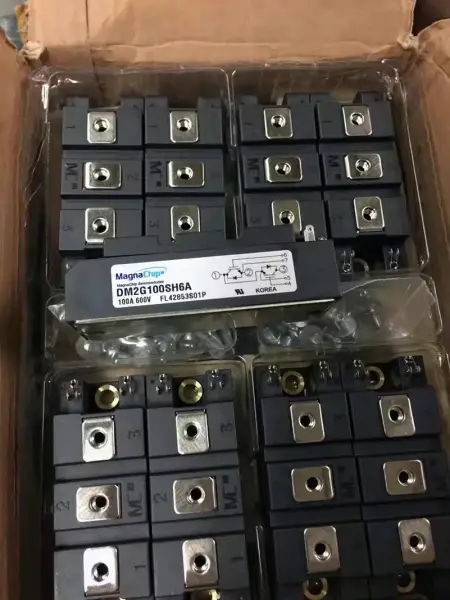 MAGNA/DAWIN DM2G100SH6A