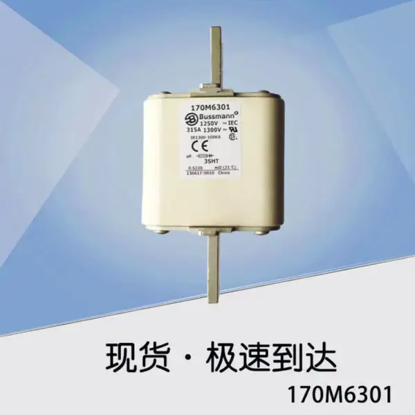 BUSSANN 170M6301
