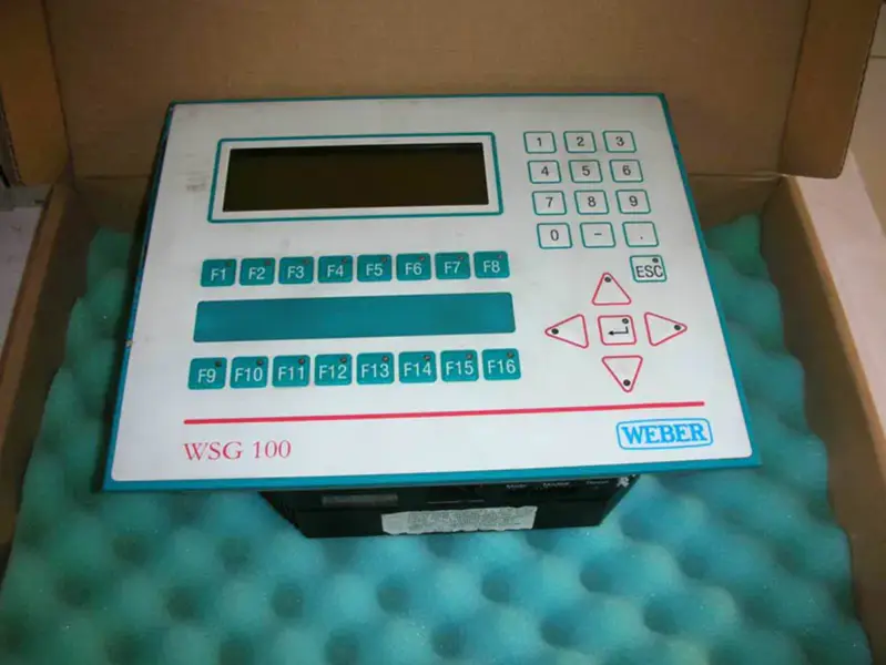 B锛哛 WEBER WSG100 4C2210.01-510 4D1042.00-K02