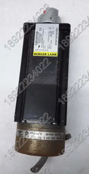 Motor BERGER LAHR VRDM3913/50LWBOB