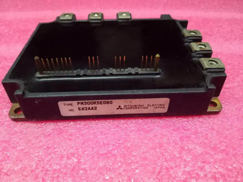 PM300RSE060