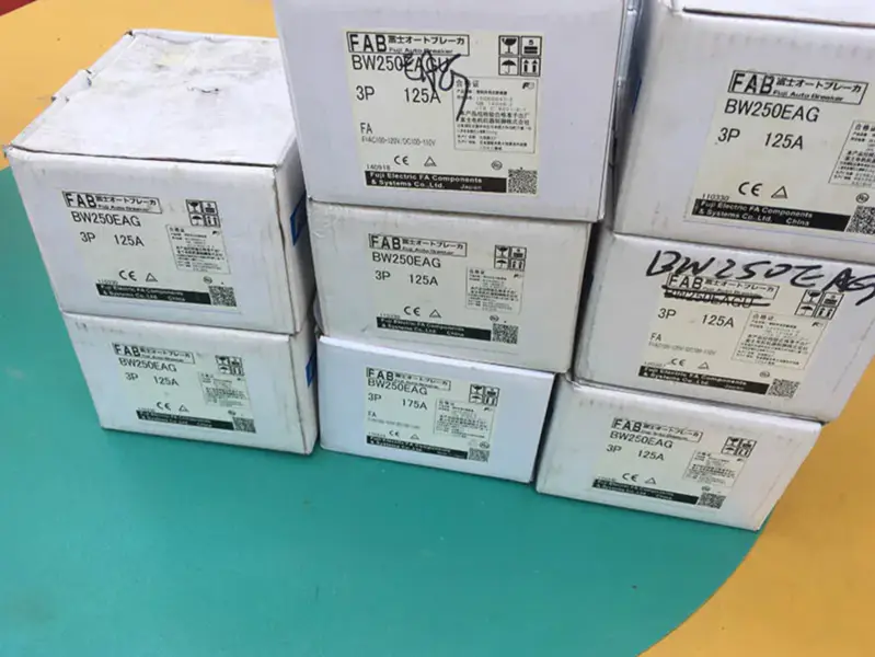 BW250EAG 3P 125A FUJI