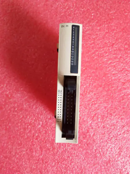 Schneider PLC TWDDDI16DK